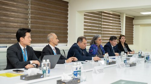 Yaşıllıqların qanunsuz kəsildiyi ortaya çıxdı