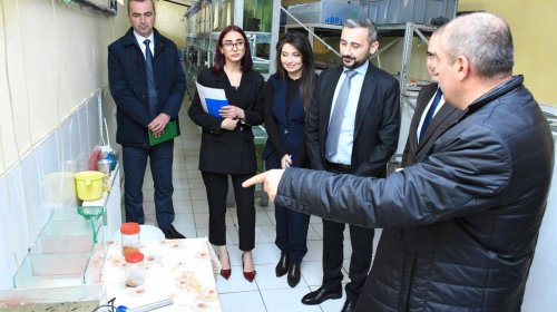 Balıqçılıq və Akvakultura Mərkəzinin nümayəndə heyəti ADAU-da görüşlər keçirib