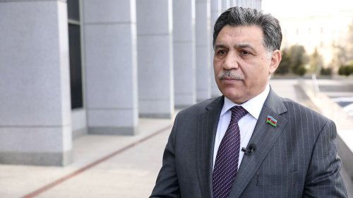 Deputat: "Quzuların erkən yaşda kəsilməsi təbii artımın qarşısını alır"