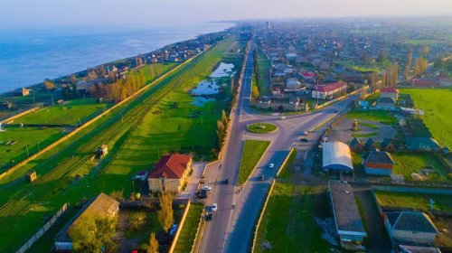 Lənkəranda köçəri quşlar kütləvi tələf oldu - FOTO