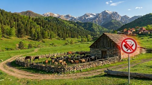 Azərbaycanda ət bazarını gözləyən inqilabi dəyişiklik: Qiymətlər artacaq?
