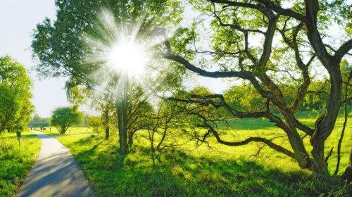 Aprel ayına olan hava proqnozu açıqlandı