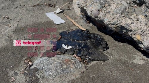 Xəzər sahilində qara təhlükə: Lənkəranda sahilə mazut parçaları çıxır - FOTO
