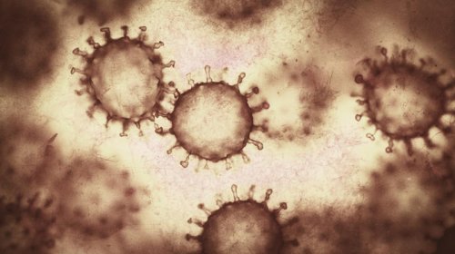 Viruslar bir-birinin "danışıqlarını eşidir", bəzən isə yalan danışırlar: Bu, niyə baş verir?