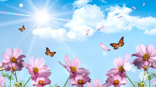 Bakıda 17, rayonlarda 23 dərəcə isti olacaq
