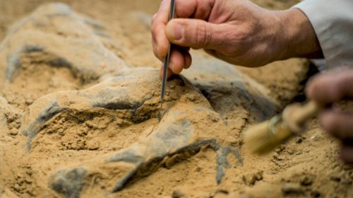 Alimlər elmə məlum olmayan bir insan növünə aid DNT-yə malik 7000 illik skelet tapdı