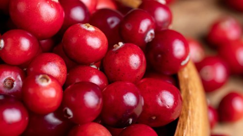 Zoğal diş çürüməsi və diş əti iltihabı riskini azaldır.