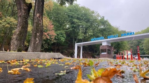 Göy-Göl Milli Parkının 128 min manatlıq tenderi ləğv edildi