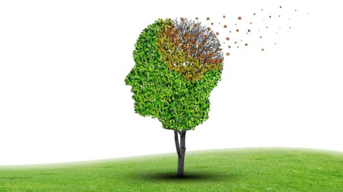 10 min nəfərlik araşdırma tənhalıq və demensiya arasındakı incə xətti ortaya çıxardı