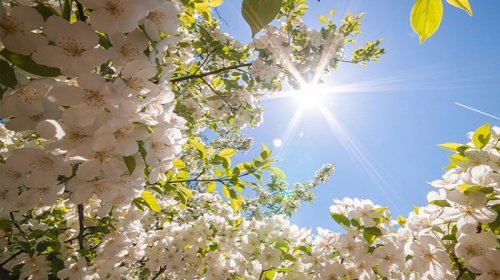 Bazar günü Azərbaycanda 24 dərəcəyədək isti olacaq