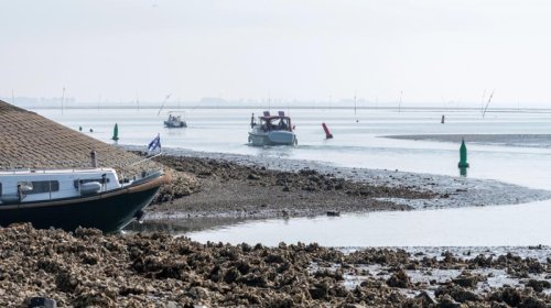 ABŞ-da bu problemin həllnini tapanlara 200 dollar mükafat təklif olunur