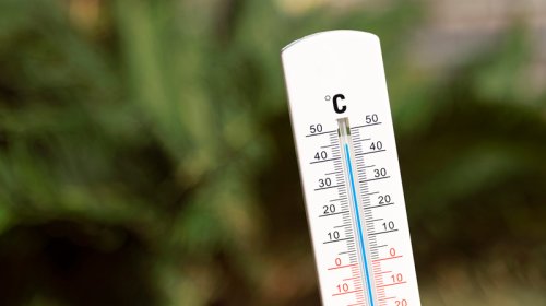 Mayda temperatur 32 dərəcəyədək yüksələcək