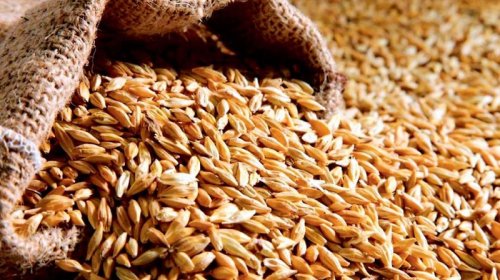Buğdanın qiyməti qalxacaq?
