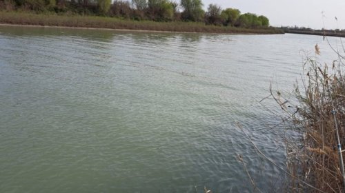 Kür çayında suyun səviyyəsinin qalxması əhalinin təşvişə salıb