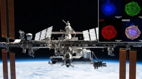 Ürək köçürülməsində yeni ümid: Dünyada olmayan imkan kosmosda tapıldı