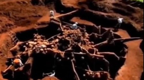 Alimlər qarışqa yuvasına 10 ton sement tökdü: Təcrübənin nəticəsi onları heyrətləndirdi