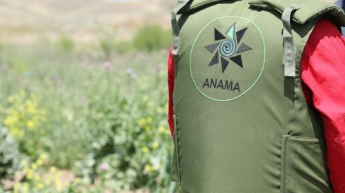 ANAMA-da audit yoxlaması keçiriləcək
