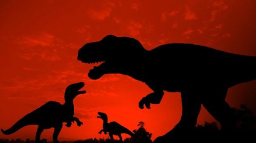 Balalarına qayğı göstərən dinozavrlar haqqında gözlənilməz kəşf