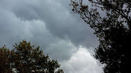 Sabahın hava proqnozu