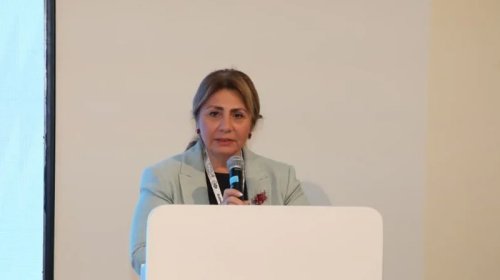 Gülşən Rzayeva: "Bakıdakı WUF13 əvvəlki forumların rekordunu qırıb"