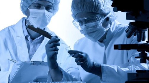 Yer göbələyi NASA sterilizasiyasından sağ çıxdı - Marsda məskunlaşa bilər