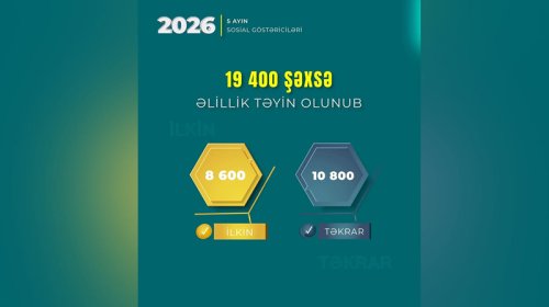 
19 mindən çox şəxsə əlillik təyin olundu