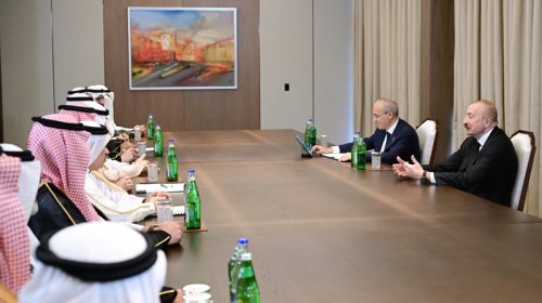 Prezident Ərəb Koordinasiya Qrupunun nümayəndələrini qəbul etdi - FOTO