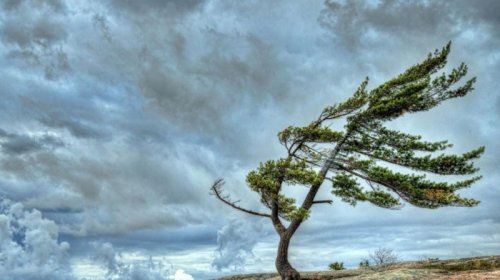 Küləkli hava nə vaxtadək davam edəcək?
