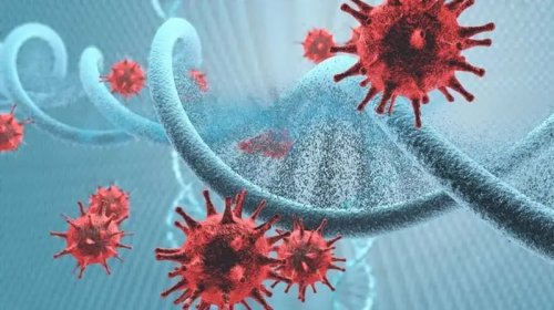 Həkimdən xəbərdarlıq: Hepatit B və C sirrozla qaraciyər xərçənginə səbəb ola bilər