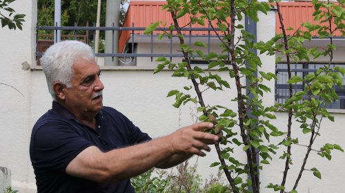 Kərgicahana dönüş: 33 ilin həsrətini sona çatdıran yol - FOTOLAR