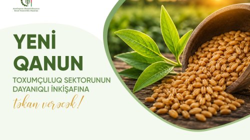 Yeni Qanun toxumçuluq sektorunun dayanıqlı inkişafına təkan verəcək