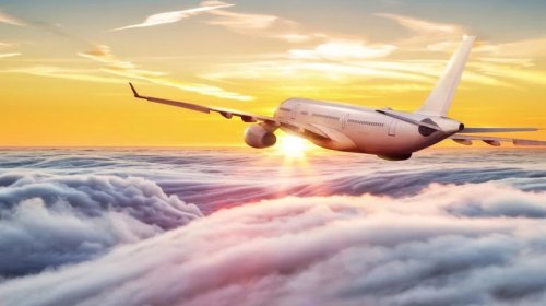 Pilot hər sərnişinin təyyarəyə götürməli olduğu bir şeyi açıqladı