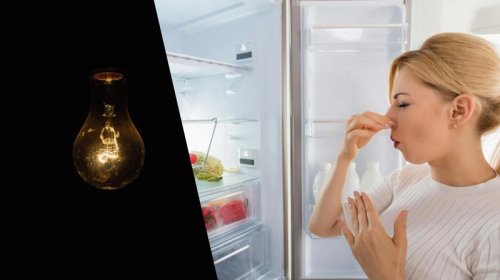 Soyuducu elektrik olmadan soyuğu nə qədər saxlayır? - Ekspertlər cavab verdi