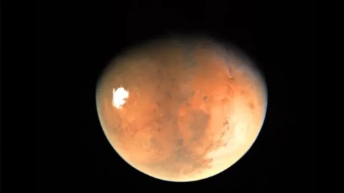 Astronavtların gizli kabusu üzə çıxdı: Kosmosda bağırsaqlar necə dəyişir?