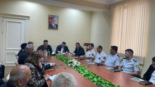 Balakəndə qəhvəyi mərmər bağacığı ilə mübarizəyə həsr olunmuş növbəti iclas keçirilib