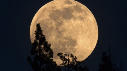 Ay stansiyasının ulduzşəkilli forması astronavtları istidən və şaxtadan qoruyacaq
