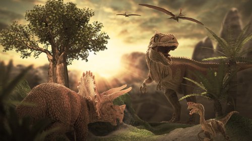 Alimlər Zimbabvedə 210 milyon il yaşı olan yeni dinozavr növü tapdı