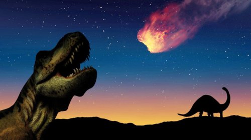 Quşların əcdadlarının asteroidin düşməsindən niyə sağ çıxdığı məlum oldu