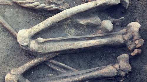 Afrikanın tarixini yenidən yazan monumental Tunc dövrü qalası aşkarlandı