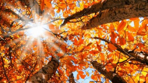 Oktyabr ayının hava proqnozu açıqlandı