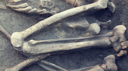 Arxeoloqlar 8 min il əvvəl yaşamış çinlinin üzünü bərpa etdi