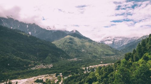 Polşalı turist Himalay dağlarında qramı qızıldan baha olan göbələk tapdı
