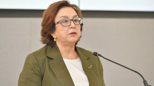 Məzunların 3,2 faizi ixtisası sırf öz marağına görə seçib - DİM sədri
