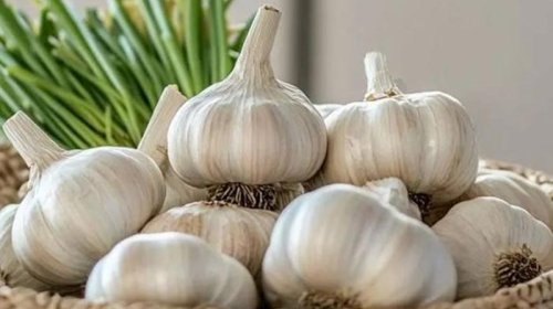 Sarımsaq qiymətləri neçəyədir?