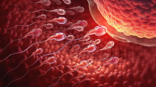 Alimlər laboratoriyada süni həyat yaratmağın niyə mümkün olmadığını açıqladı