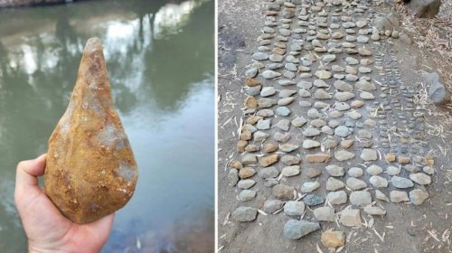 700 min il əvvəl yaşamış filin dişi qədim insanların məskunlaşdığı dünyanı üzə çıxardı