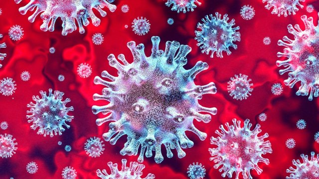 Elm dünyasından ciddi xəbərdarlıq: Payızda ikinci epidemiya təhlükəsi...