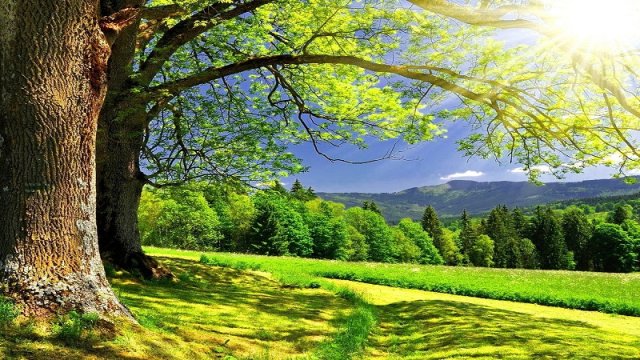 Sabahın havası açıqlandı: Temperatur yüksələcək