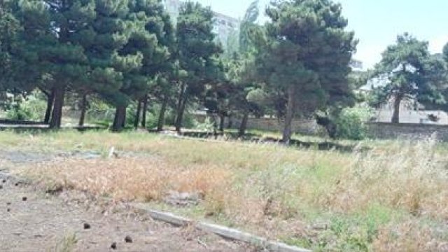 Bakıda park baxımsız qalıb - FOTOLAR,VİDEO