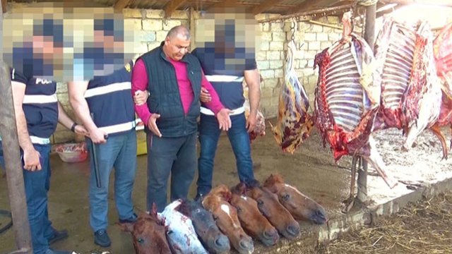 “Bandotdel” cinayətkar dəstəni belə aşkarladı (VİDEO)